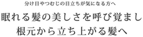 眠れる髪の美しさを呼び覚まし根元から立ち上がる髪へ