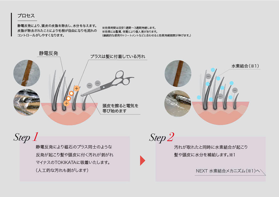 TOKIKATA（トキカタ）割れぐせ改善 次世代型シザーコームを紹介